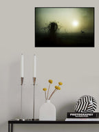 - Brand New Day - Poster och Canvastavla