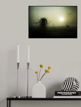 - Brand New Day - Poster och Canvastavla