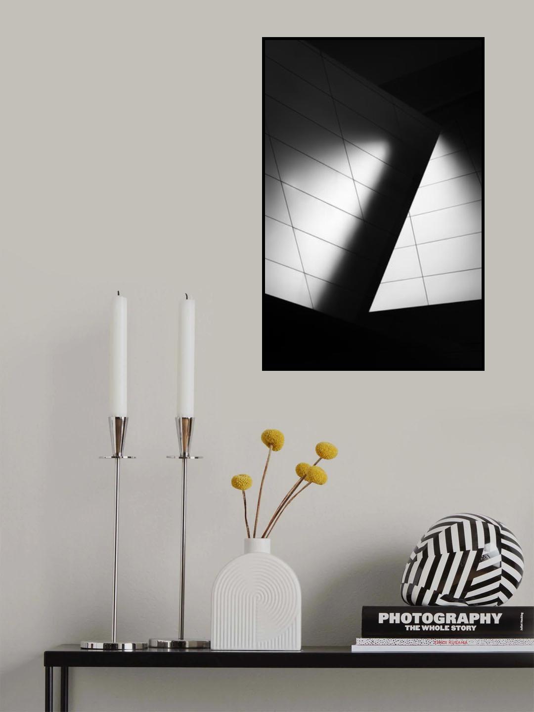 shadow play Poster och Canvastavla