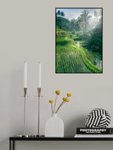 Morning Glow Poster och Canvastavla