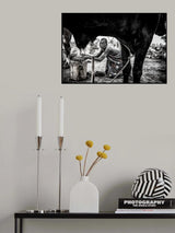 A scene in a mundari cattle camp-III - South Sudan Poster och Canvastavla
