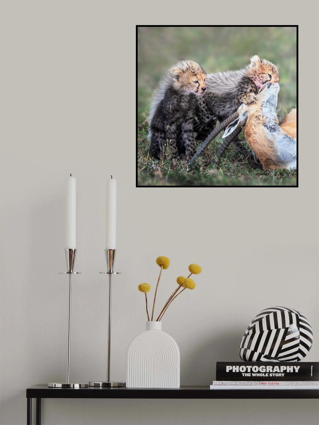 Delicacies Poster och Canvastavla
