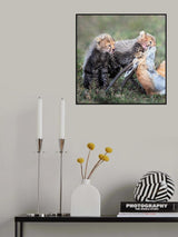 Delicacies Poster och Canvastavla