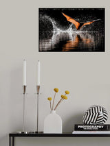 Into the dark Poster och Canvastavla