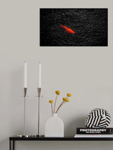 Poster och Canvastavla