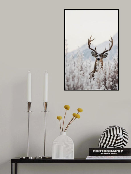 Curious Deer Poster och Canvastavla