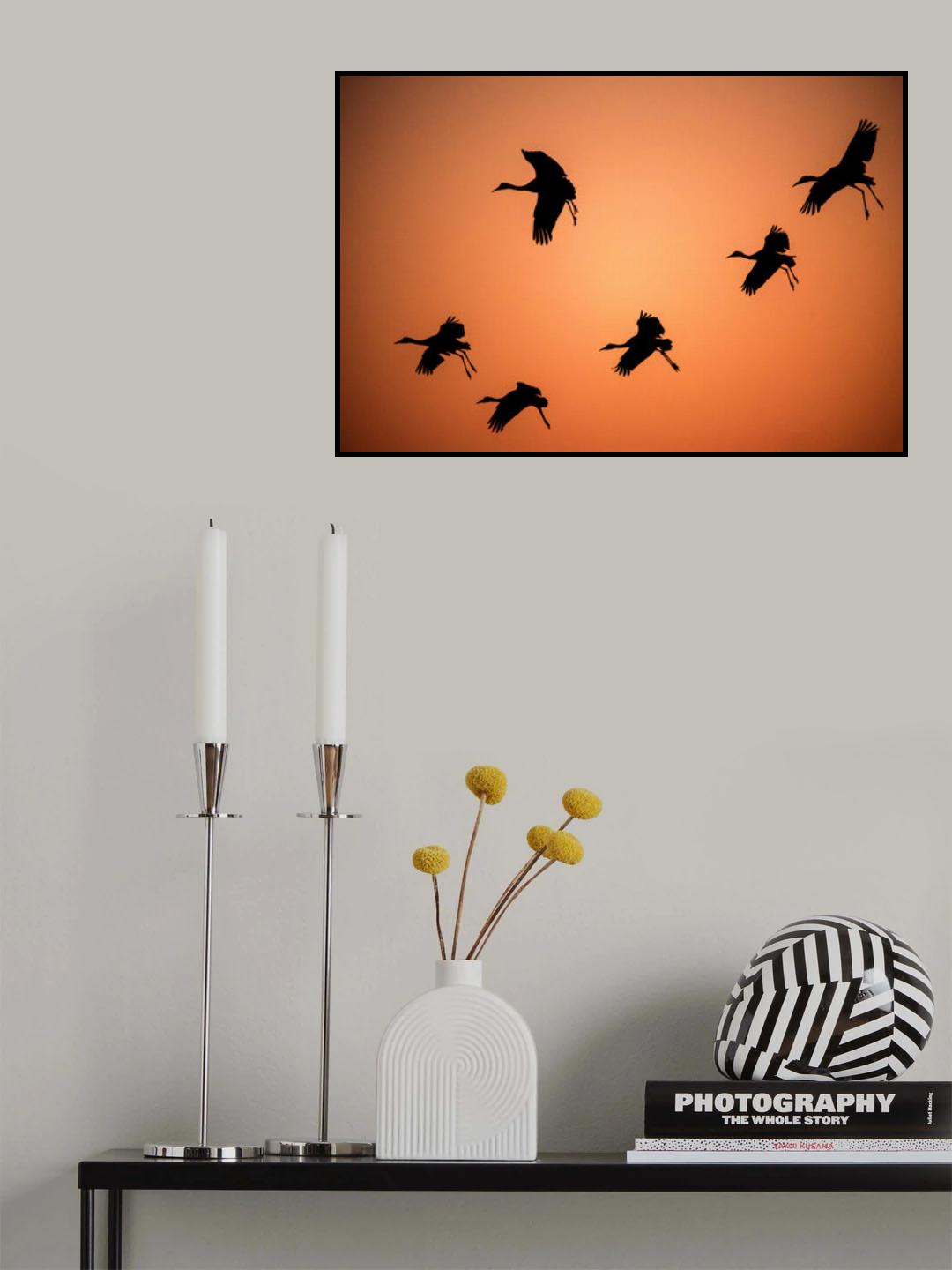Ready to land Poster och Canvastavla