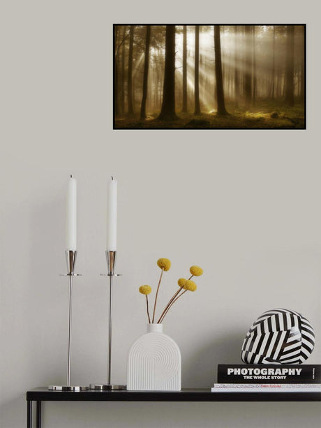 Autumn light Poster och Canvastavla