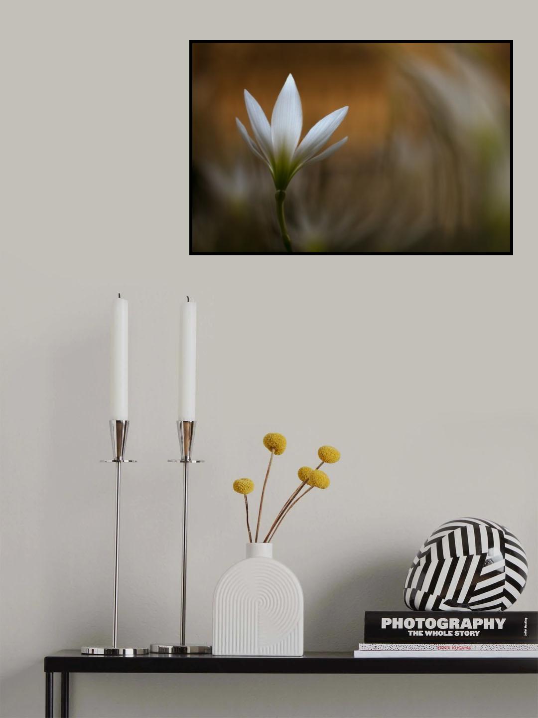 White Flower Poster och Canvastavla