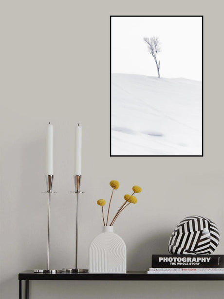 Lonely at Top Poster och Canvastavla