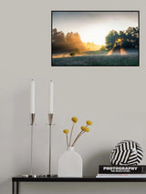 Summer field with sunrays Poster och Canvastavla