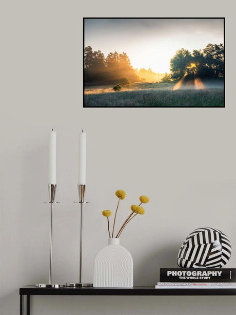 Summer field with sunrays Poster och Canvastavla