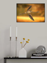 FREEDOM Poster och Canvastavla