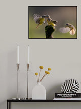 Poster och Canvastavla
