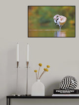 Cleaning in the morning Poster och Canvastavla