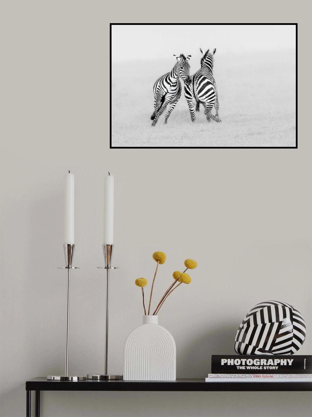 Playing or Fighting? Poster och Canvastavla