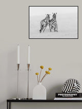 Playing or Fighting? Poster och Canvastavla