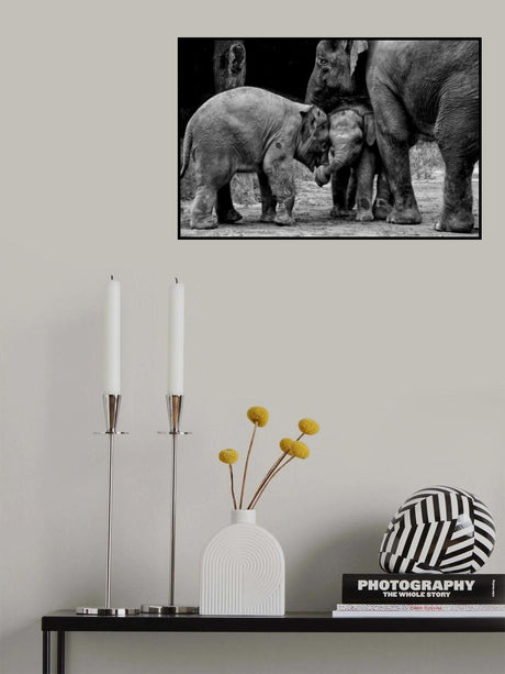 Friends Forever Poster och Canvastavla