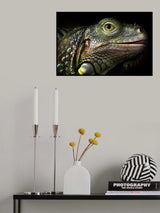 Glowing Iguana Poster och Canvastavla