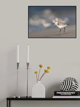 Free thinker Poster och Canvastavla