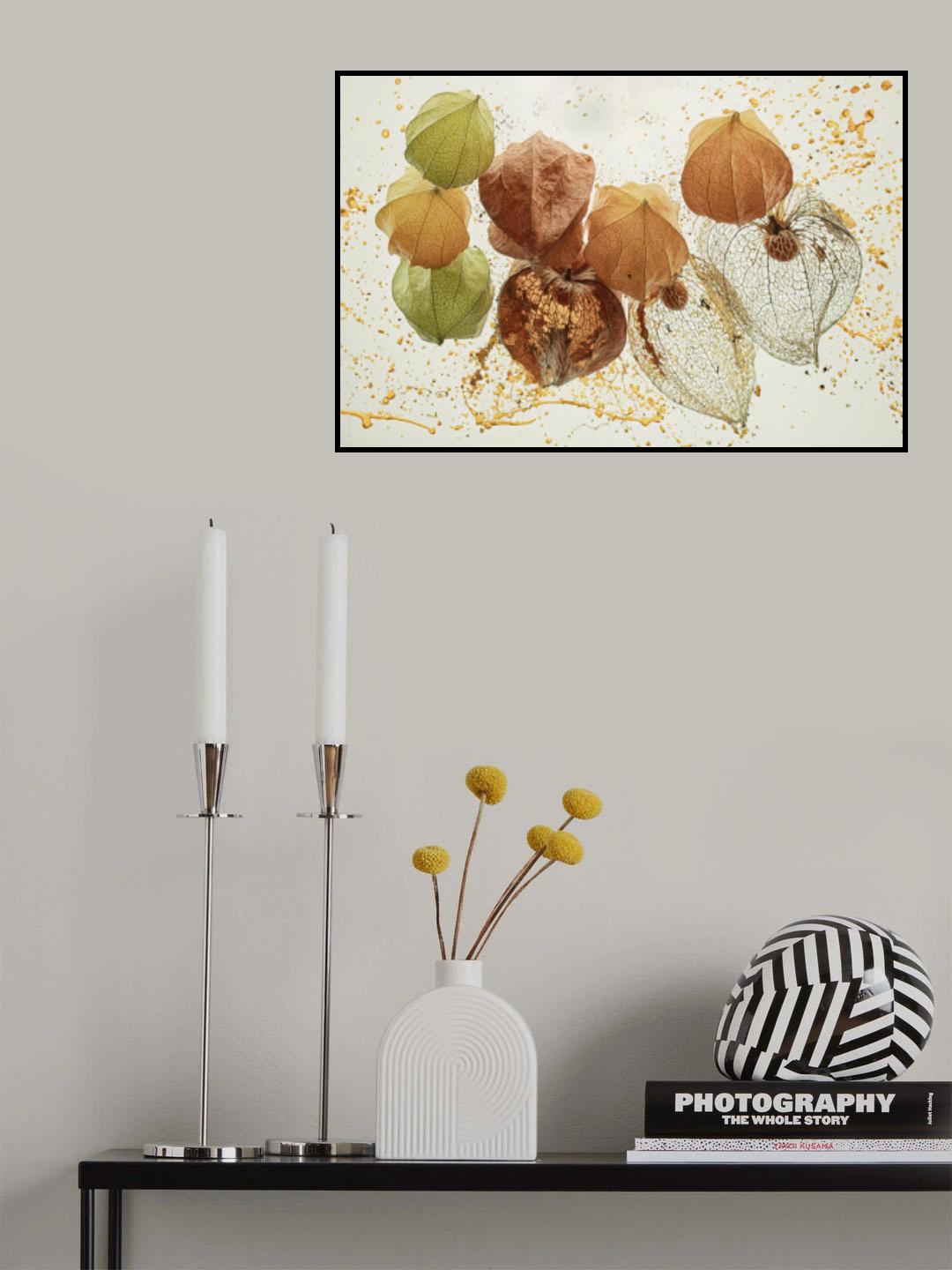Physalis 3 Poster och Canvastavla