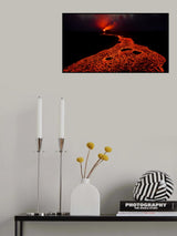 Phoenix Flying Poster och Canvastavla