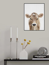 Peekaboo Baby Cow Poster och Canvastavla