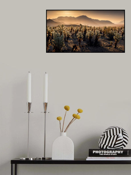 Joshua Tree NP Poster och Canvastavla