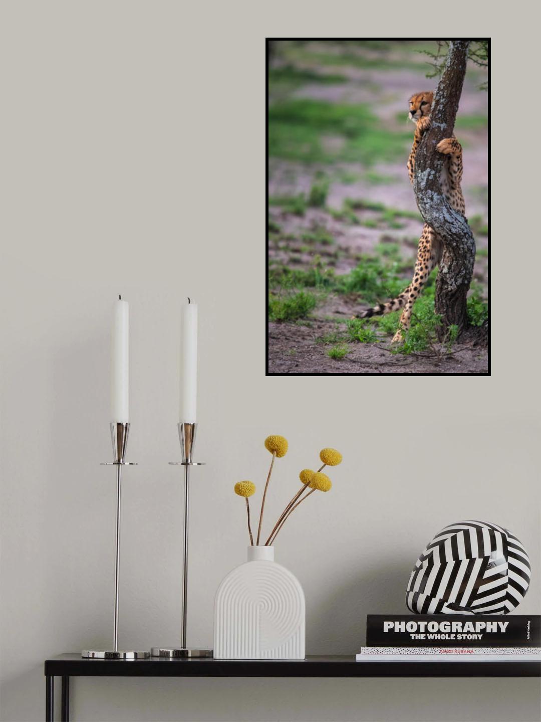On the wait Poster och Canvastavla