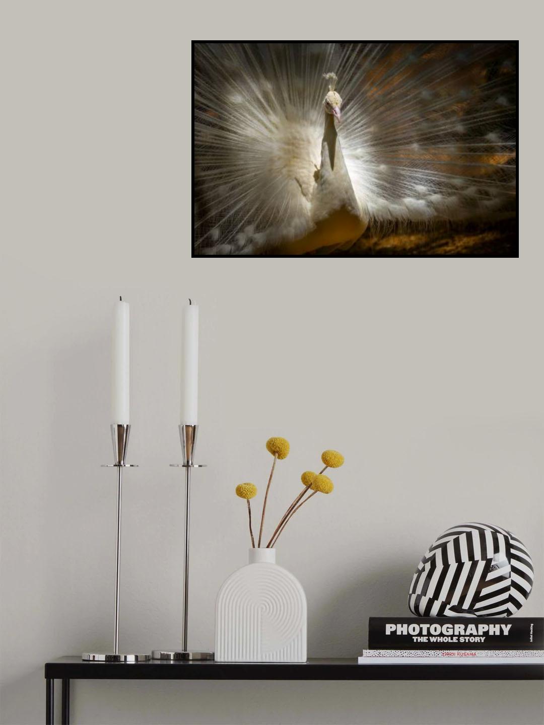Straightlaced Poster och Canvastavla