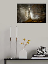 Straightlaced Poster och Canvastavla