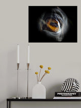 Horse in horse Poster och Canvastavla