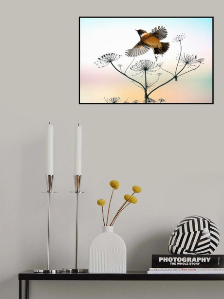 Late Summer Love Poster och Canvastavla