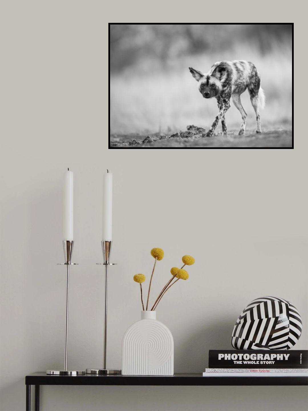 A Soft Approach Poster och Canvastavla