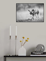 A Soft Approach Poster och Canvastavla