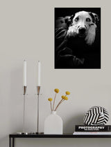 nothing is happening :-( Poster och Canvastavla