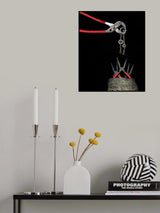 Song Of The Western Needlenose Poster och Canvastavla