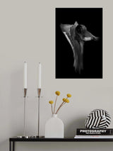 Mysterious Dance Poster och Canvastavla