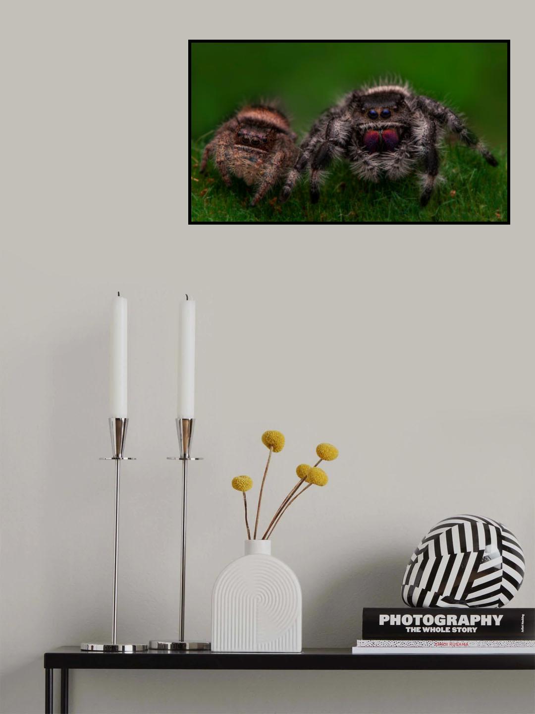 Spider friends Poster och Canvastavla