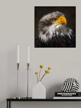 Poster och Canvastavla