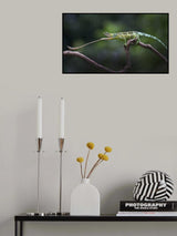 Hit the Target Poster och Canvastavla