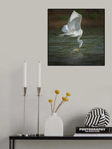 N/A Poster och Canvastavla