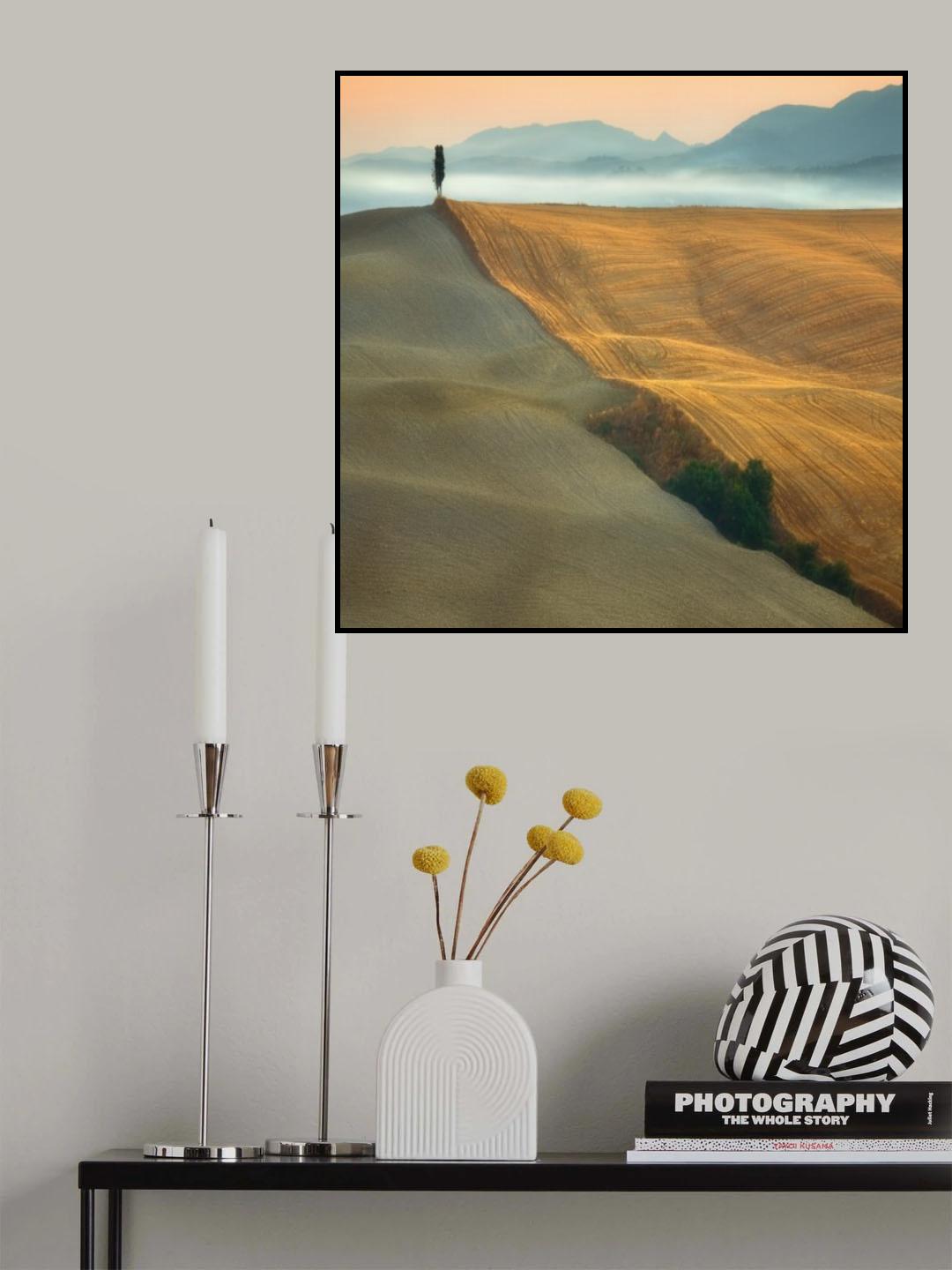 Cypress Poster och Canvastavla