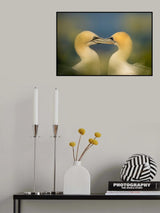 Fall in love Poster och Canvastavla