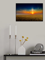 MorningLight Poster och Canvastavla