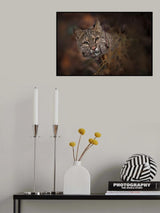 These Eyes Poster och Canvastavla