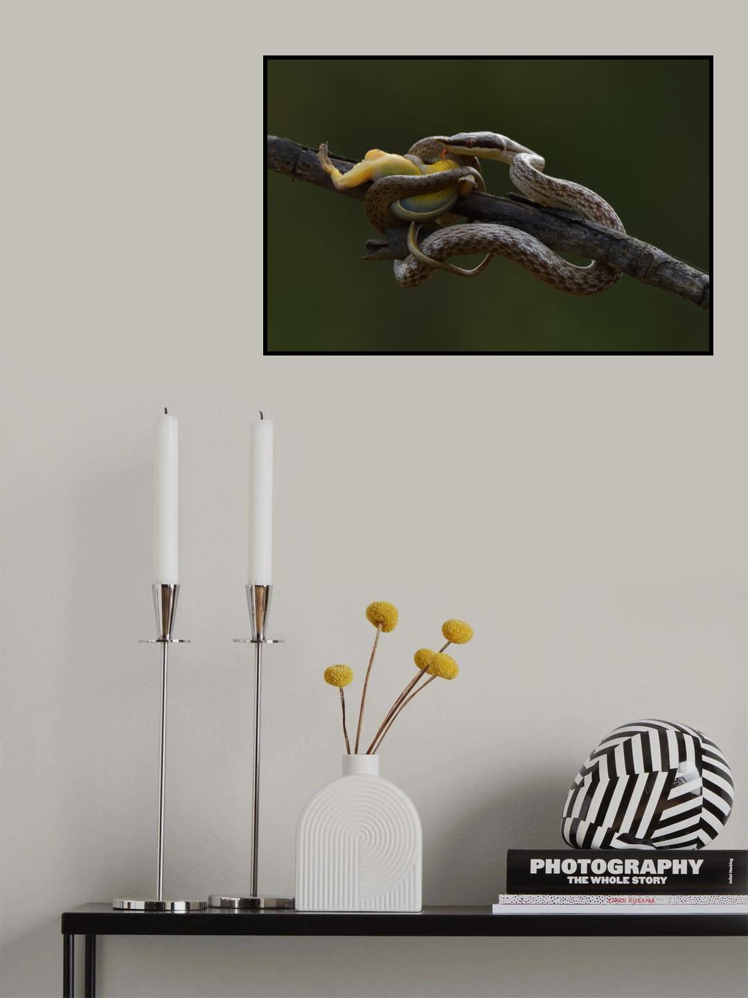 rhino rat snake Poster och Canvastavla