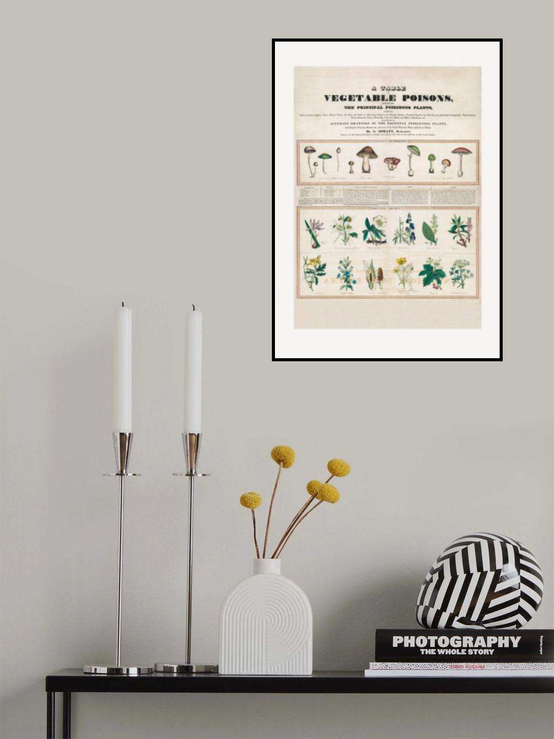 Poisonous Mushrooms Irritating Poisons Poster och Canvastavla