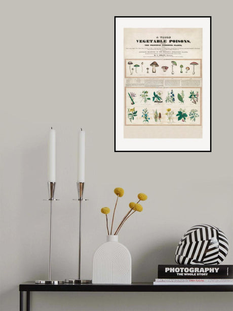 Poisonous Mushrooms Irritating Poisons Poster och Canvastavla