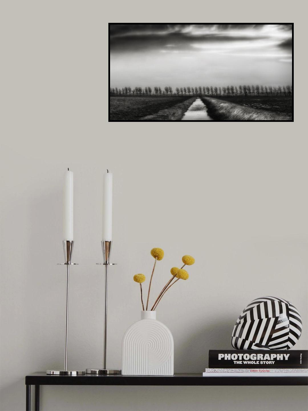 Polder beauty Poster och Canvastavla